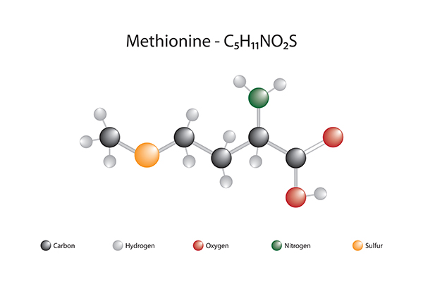 Evonik invests into technical upgrade of European methionine Verbund 